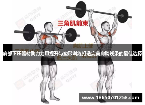 肩部下压器材助力力量提升与塑形训练打造完美肩膀线条的最佳选择